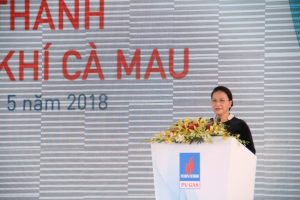 Chủ tịch Quốc hội Nguyễn Thị Kim Ngân phát biểu chỉ đạo